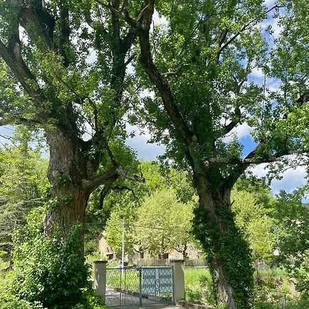 Mas Des Traves Anduze Avec Piscine *